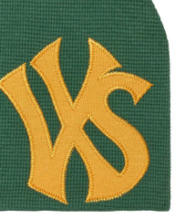 Vale Forever NYC Beanie Pine Green
